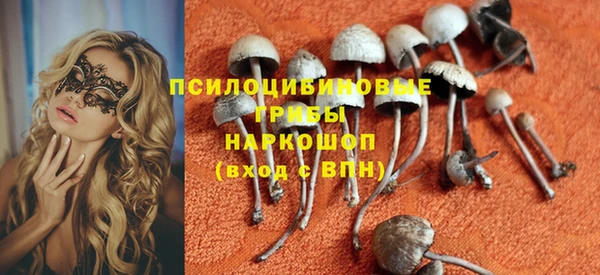 прущие крисы Алзамай