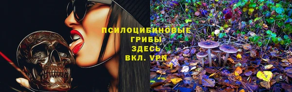 прущие крисы Алзамай