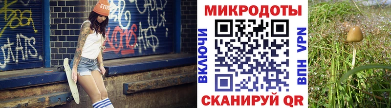 Галлюциногенные грибы Magic Shrooms  продажа наркотиков  hydra зеркало  Тула 