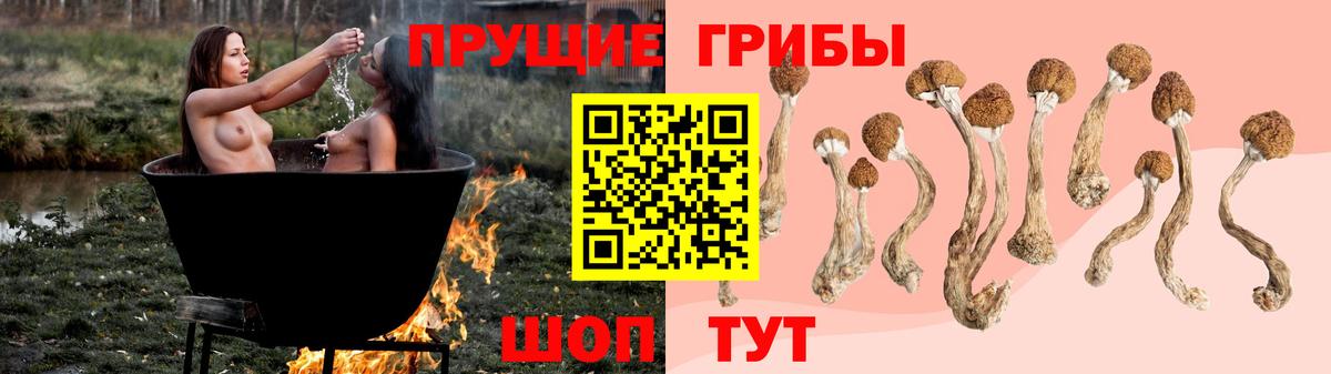 Тула  Псилоцибиновые грибы Cubensis  Вход с VPN 